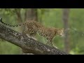 Profession  passion  a balancing act by dr arun sk at natureinfocus