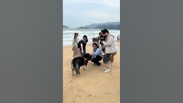 Thumbnail of Catch the last train for this song by Yue Yunpeng, Yue Yunpeng's cover of Children of the West Towe
