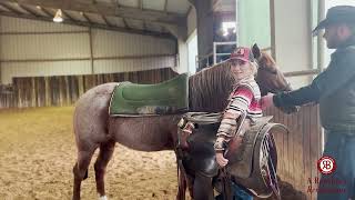 Clayton Edsall on Saddling Colts