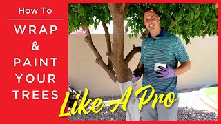 PRO TIPS: How to Wrap or Paint Your Tree like a Moon Valley Expert