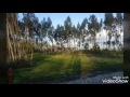 ASÍ DE RON- PIEL MORENA ( VIDEO CON ALGUNAS IMÁGENES DEL CHIMBORAZO)
