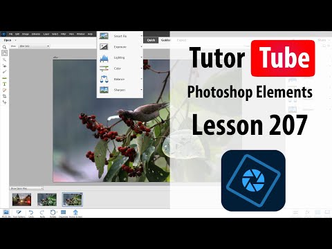 Photoshop Elements Tutorial - Lesson 207 - Liquify