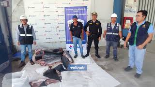 📢 Fiscalía logró decomisar especies marinas extraídas ilegalmente