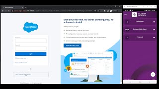 Securify Identity Salesforce Integration Demo