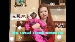 Распаковка посылки для бурого капуцина Алексы.Наш первый зимний комбинезон Распаковка посылки для бурого капуцина Алексы.Наш первый зимний комбинезон