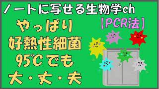 【遺伝子工学】（高校）②　PCR法　＜DNAを人工的に増やしたい＞