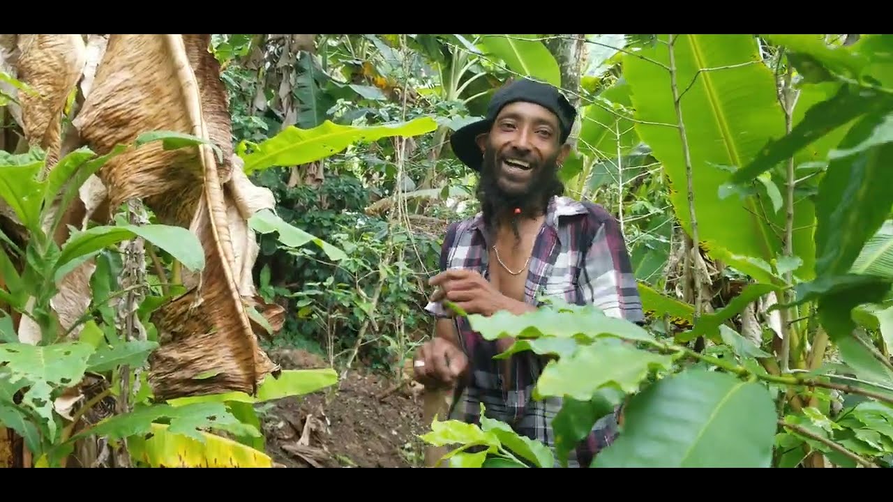 Con el AJADÓN limpiando la finca de la mamá encontramos a Wisungui