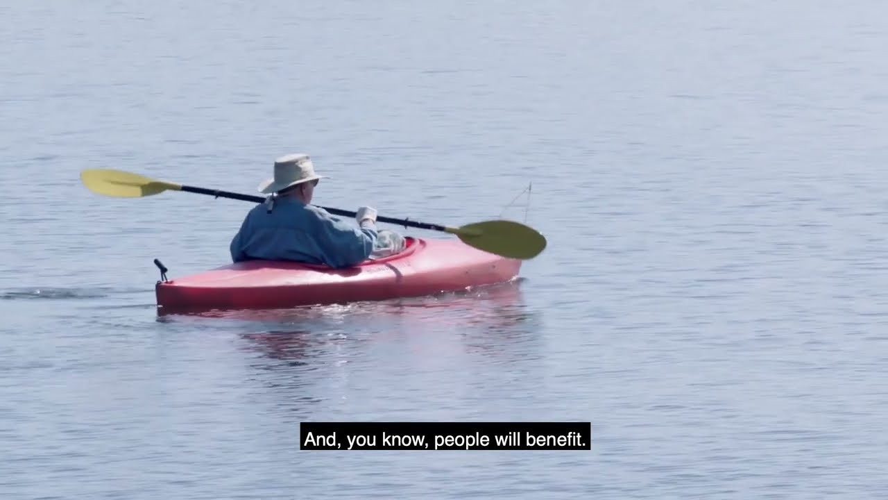 Herring River Estuary: Ecological Insights Ecology