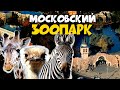 Прогулка по Московскому зоопарку