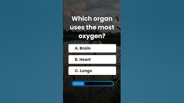 Human Body Quiz 🧠| Most People Guess This Wrong #quiz #humanbodyquiz #shorts #trivia #feed #viral