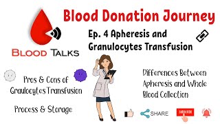 Ep.4. Apheresis and Granulocytes Transfusion| Blood Donation Journey