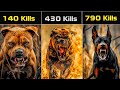 Most Dangerous Dog Breeds In The World In Hindi 2 | Largest Dog Breed | Pet Dogs | 3D Fact