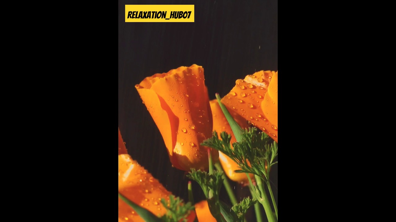 RELAXATION Mode Activated with Rain Sounds for Deep Sleep!