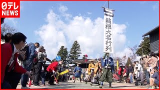 【文化の日】秋の風物詩「箱根大名行列」参勤交代を再現