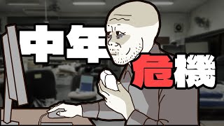 中年猴子的一生