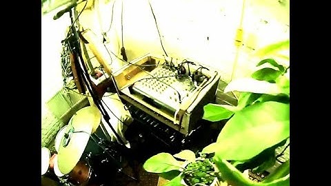 Plant Sonification with Sonic Pi, Eurorack Modular Synth