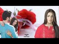 Tumhi ho mehboob mere by azam baig