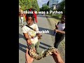 I think it was a Python #snake #python #think