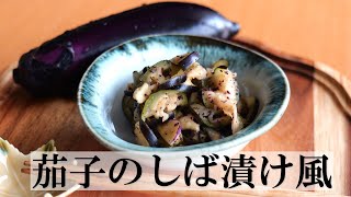 茄子のしば漬け風の作り方【簡単なすレシピ】浅漬け・お漬物