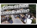 Como se obtiene el Etanol en Mèxico? Visitamos la fabrica Oxifuel !!