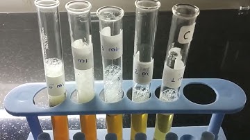 EXPERIMENT.NO.8. Determination of Swelling index and foaming index (part2)