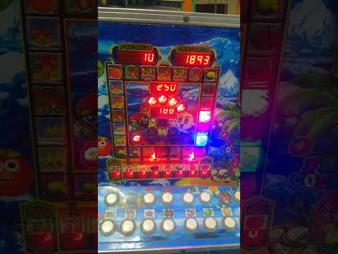 the 888 panda slot at great Canadian casino Toronto Canada Feb 7/24