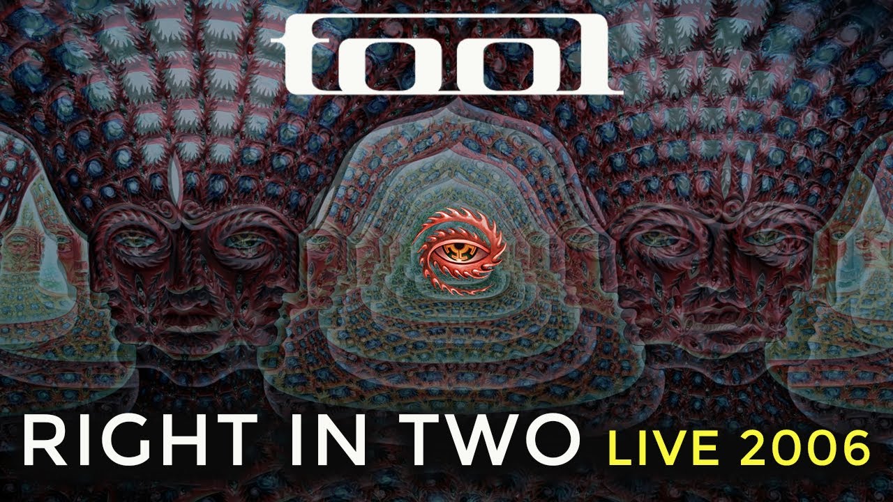 Tool right in two. Tool living