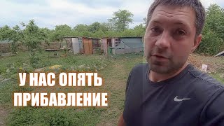 КУПИЛИ ДОМ НА ХУТОРЕ | СЮРПРИЗЫ НЕ ЗАКАНЧИВАЮТСЯ #хутор #жизньвдеревне #купилдом