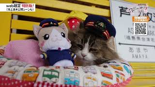 3 雨の日もがんばるにゃ！「ふにゃ～り日和」 - YouTube