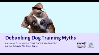 Debunking Dog Training Myths 3162024