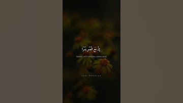 فَإِنَّ مَعَ الْعُسْرِ يُسْرًا | محمد صديق المنشاوي | سورة الشرح