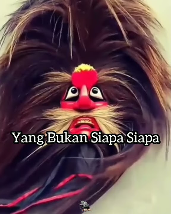 Story WA wong jowo