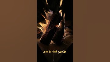 سورة طـه آية 49