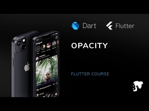 19 - Flutter