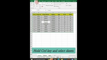 How to paste data in Multiple Sheets in seconds #excel #exceltutorial