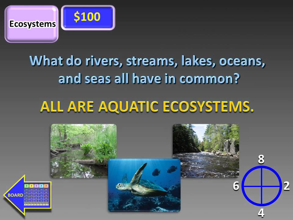 Introduction to Ecosystems Jeopardy PowerPoint Preview Tangstar