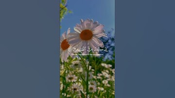 تلاوة هادئة تريح الأعصاب 😴🎧 القارئ: طارق محمد سورة: الأنبياء 💙❤