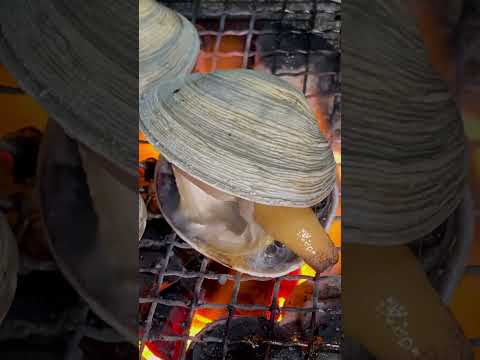 大アサリを焼いてみた🔥I tried grilling large clams🔥#asmr  #大アサリ #large clams