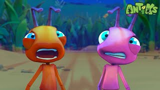 Bug Zapper | Antiks  | Funny Cartoons for Kids