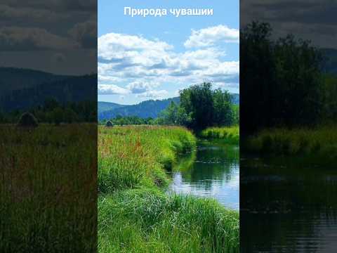 Video: Priroda Čuvašije: flora i fauna