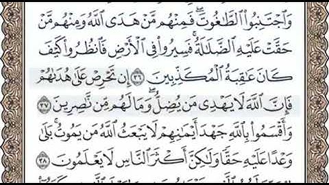 سورة النحل الصفحة 271 الشيخ محمد صديق المنشاوي