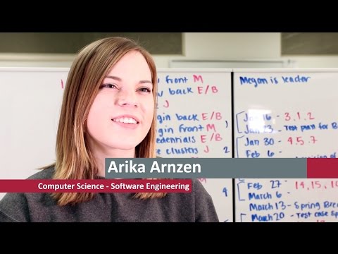 Software Engineering Degree at Washington State University   (L)