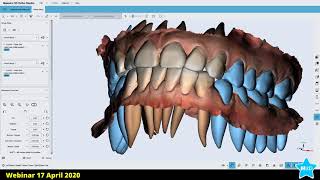 Maestro 3D | Webinar 17 April 2020