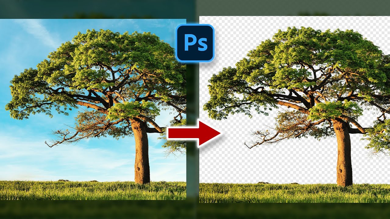 Tutorial How to Remove Difficult Backgrounds in