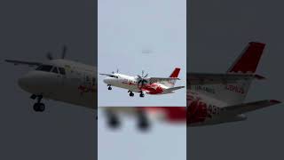 Plane crashes part 10 #planecrash  #coems
