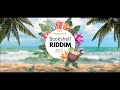 20th Anniversary Bookshelf Riddim Mix (feat  Hoodcelebrityy)