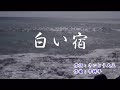 白い宿  /  瀬川瑛子    2017年10月25日発売  by Mie_Y