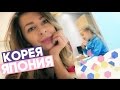 VLOG: Полетели в Японию ♥ Гуляем по Корее! Встреча с СЕМЁНОМ! Женя Гейн