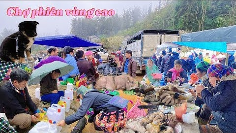 Chợ phiên vùng cao | thật sự kinh ngạc khi nơi đây bán rất nhiều lợn bản và ẩm thực | Thắng Tây Bắc