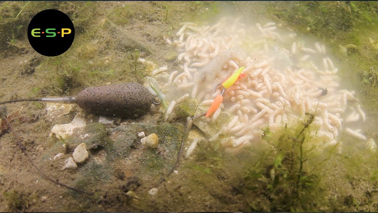 5M Pêche à la carpe S'attaquer PVA Mesh Dissoudre l'eau Net